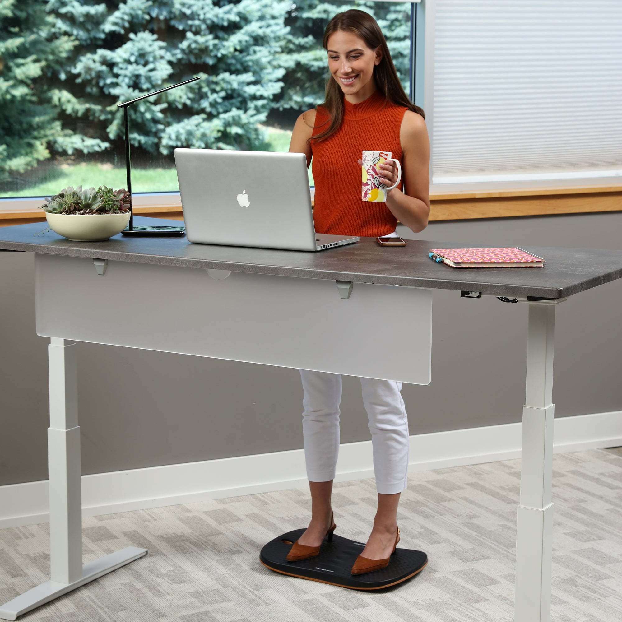 Adjustable Height Desks