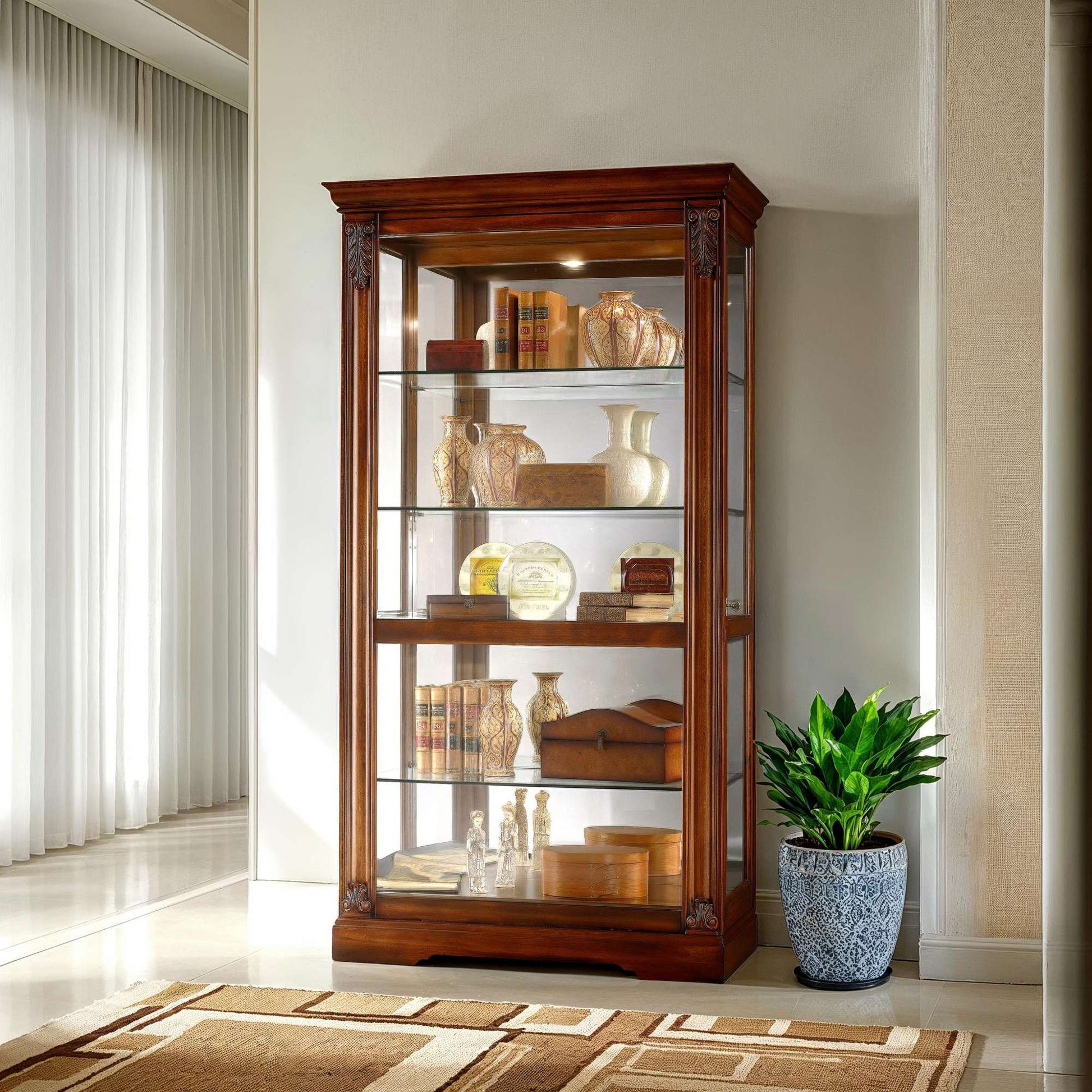 Cabinet de curiosités Andreus