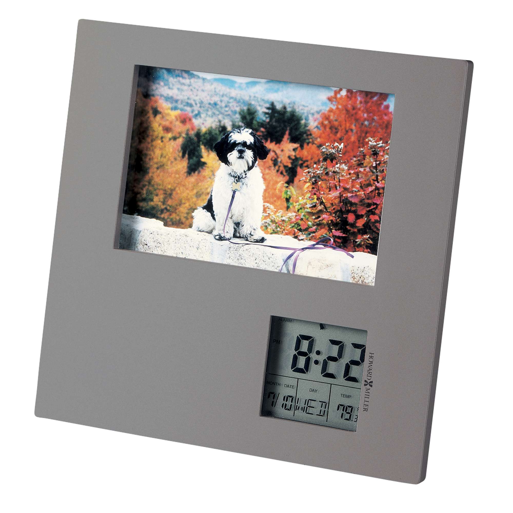 Digital photo frame displaying a dog with a clock and temperature display
