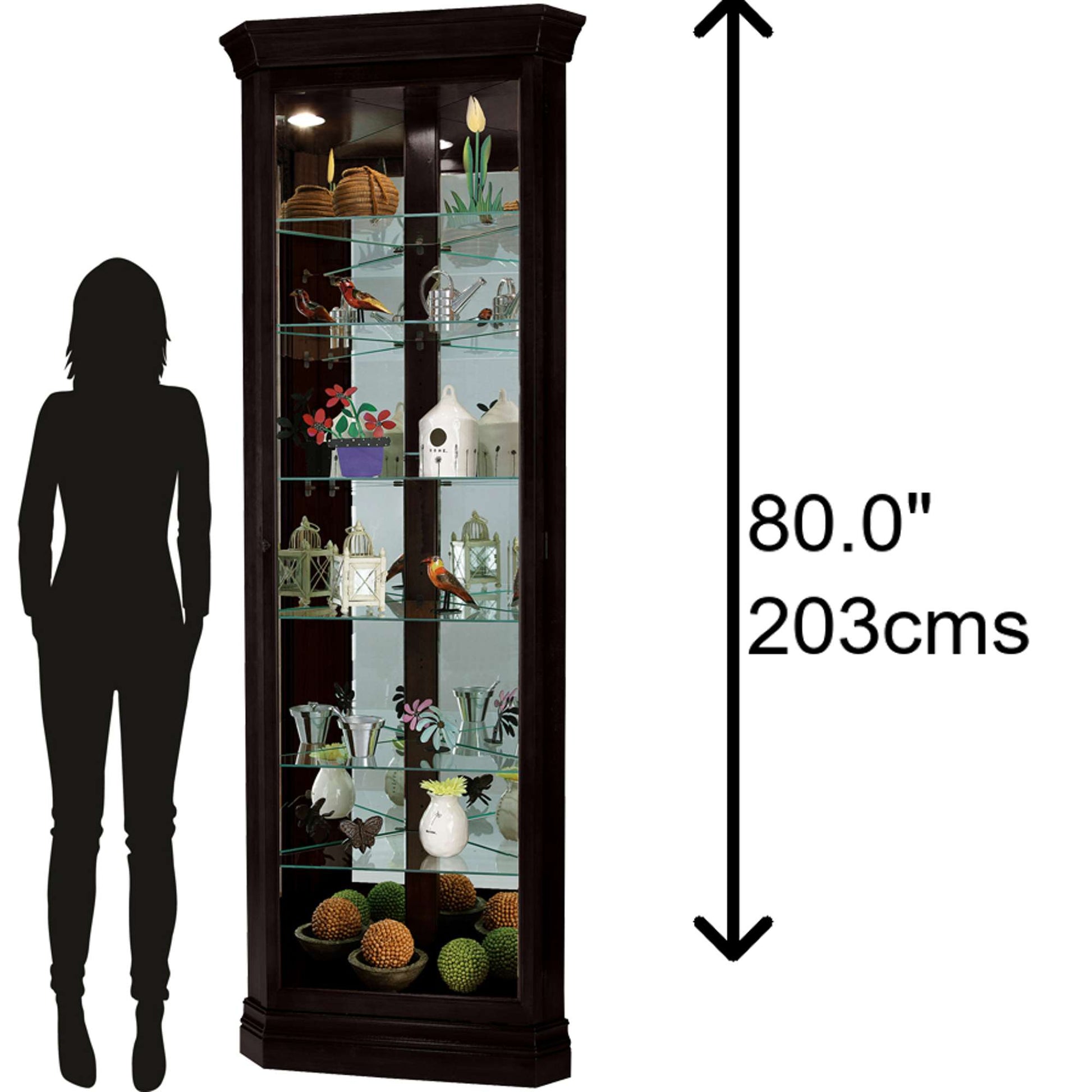 Cabinet de curiosités Duane