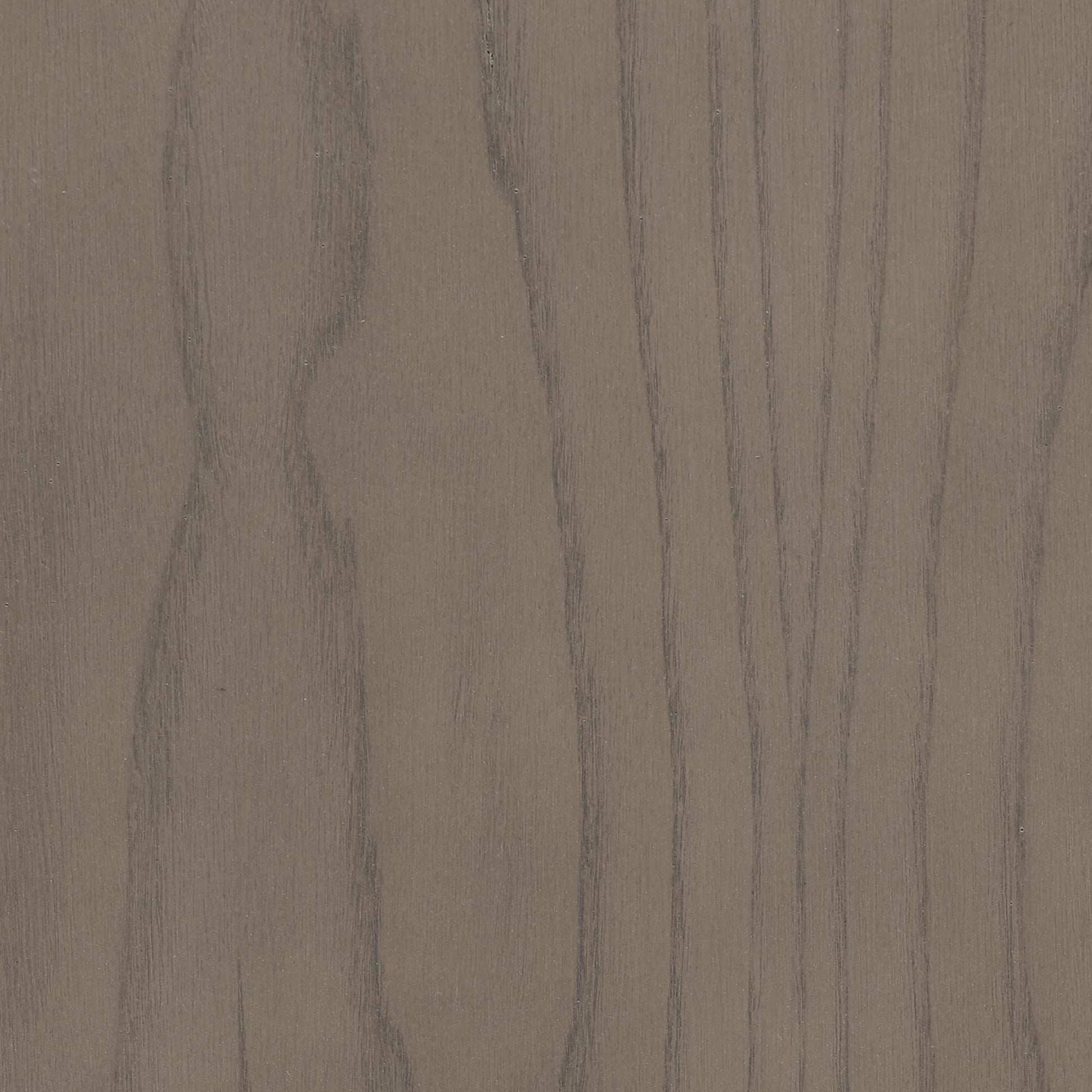 Chêne gris huître